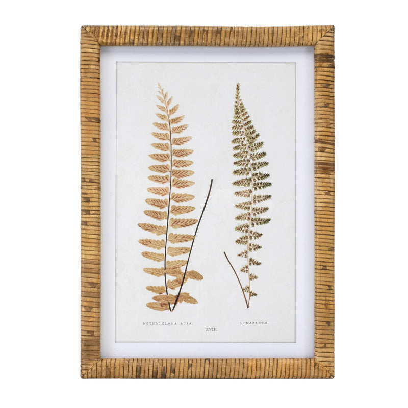 Melrose Wood Framed Fern Print Wall Decor, Rustic, Wood