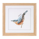 Melrose Framed Bird Print Under Glass Wall Decor, Wood