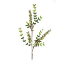 Melrose Variegated Red Berry Foliage Spray (Set of 6)