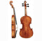GEWA Walther 11 “Rom Antique” Concert Viola 16.5″ – Master Ackert Design