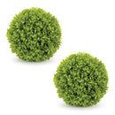 Melrose Boxwood Foliage Orb (Set of 2)