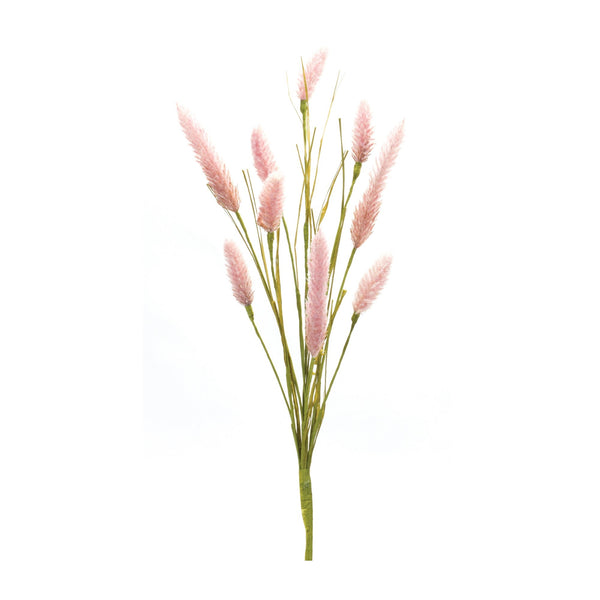Melrose Foxtail Spray (Set of 6)