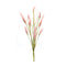 Melrose Foxtail Spray (Set of 6)