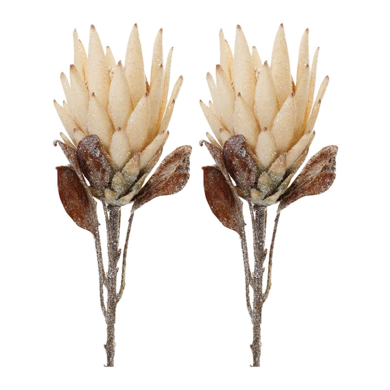Melrose Beige Protea Flower Stem (Set of 2)
