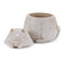 Melrose Decorative Cat Box (Set of 4)