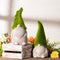 Melrose Mossy Terra Cotta Gnome (Set of 2)