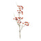 Melrose Berry Pod Spray (Set of 6)