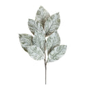 Melrose Frosted Winter Magnolia Leaf Spray (Set of 6)