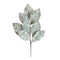 Melrose Frosted Winter Magnolia Leaf Spray (Set of 6)