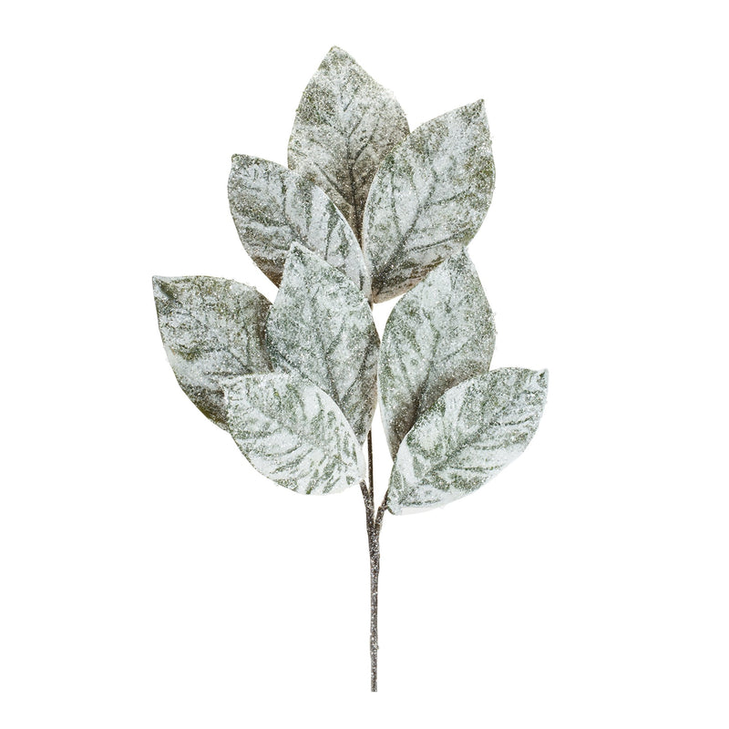 Melrose Frosted Winter Magnolia Leaf Spray (Set of 6)