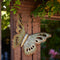 Melrose Distressed Metal Butterfly Wall Hanging (Set of 2)
