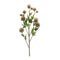 Melrose Sage Allium Floral Spray (Set of 6)
