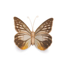 Melrose Amber Butterfly and Moth Shelf Sitter (Set of 2) Multicolor
