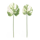 Melrose Light Varigated Philo Leaf Stem (Set of 12)