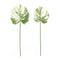 Melrose Light Varigated Philo Leaf Stem (Set of 12)