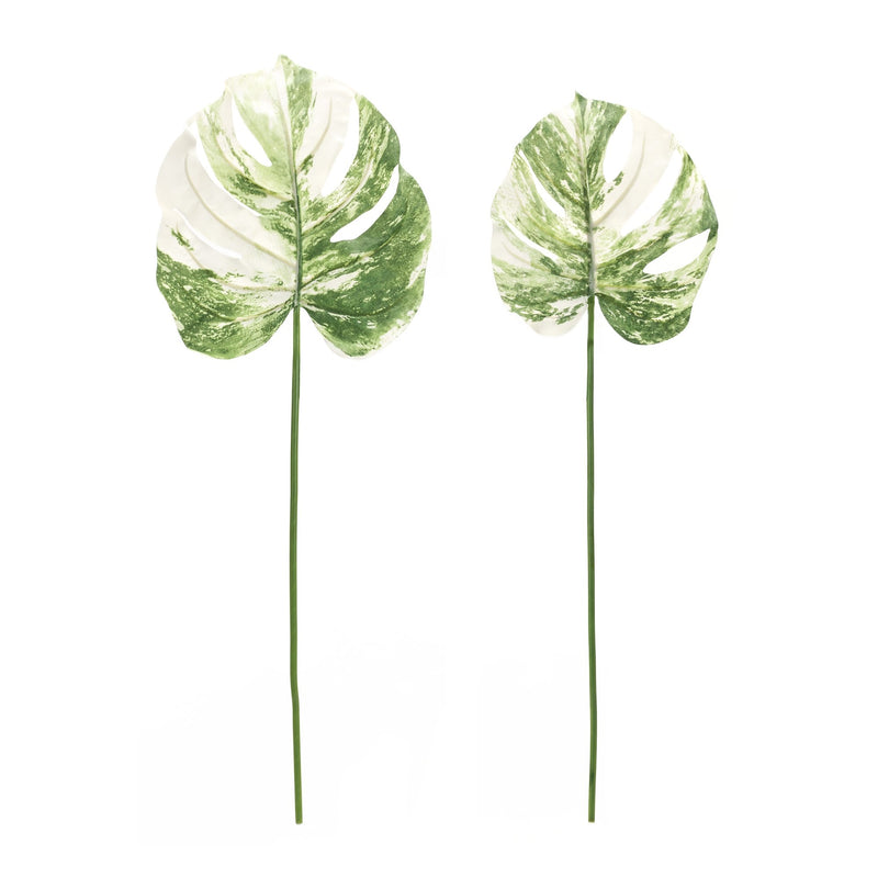 Melrose Light Varigated Philo Leaf Stem (Set of 12)