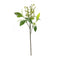 Melrose Green Berry Foliage Spray (Set of 6)