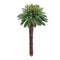 Melrose Succulent Plant Pick (Set of 12)