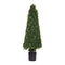 Melrose Potted Boxwood Cone Topiary 51"H