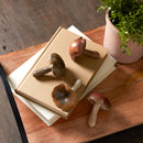 Melrose Stone Mushroom Shelf Sitter (Set of 12) Multicolor Decor