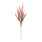 Melrose Foxtail Plume Stem (Set of 2)