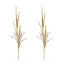 Melrose Foxtail Grass Spray (Set of 2)