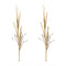 Melrose Foxtail Grass Spray (Set of 2)