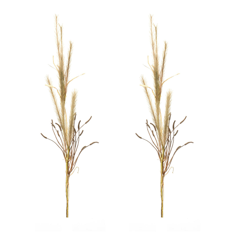 Melrose Foxtail Grass Spray (Set of 2)