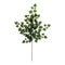 Melrose Ivy Foliage Spray (Set of 6)