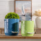 Melrose Boxwood Foliage Orb (Set of 2)
