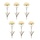 Melrose Puff Flower Stem (Set of 6)