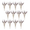 Melrose Seeded Harvest Bush (Set of 12)