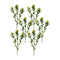 Melrose Green Thistle Floral Spray (Set of 6)