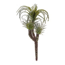 Melrose Air Plant Succulent Pick (Set of 6)