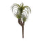 Melrose Air Plant Succulent Pick (Set of 6)