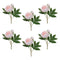 Melrose Peony Floral Spray (Set of 6)