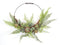 Melrose Fern and Succulent Moss Half Werath 20"D Wall Decor, Plastic