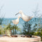 Melrose Carved Wood Sea Bird with Metal Stand (Set of 2)