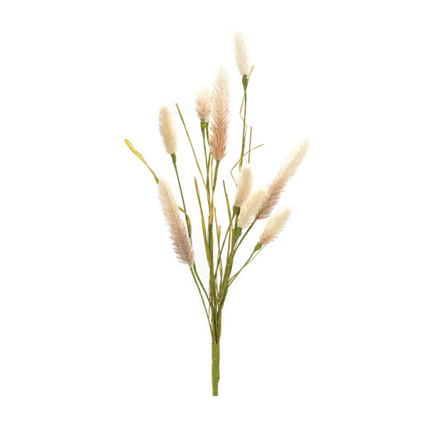 Melrose Foxtail Spray (Set of 6)