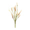 Melrose Foxtail Spray (Set of 6)