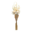 Melrose Bleached Zinnia Bouquet (Set of 2)