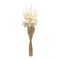 Melrose Bleached Zinnia Bouquet (Set of 2)
