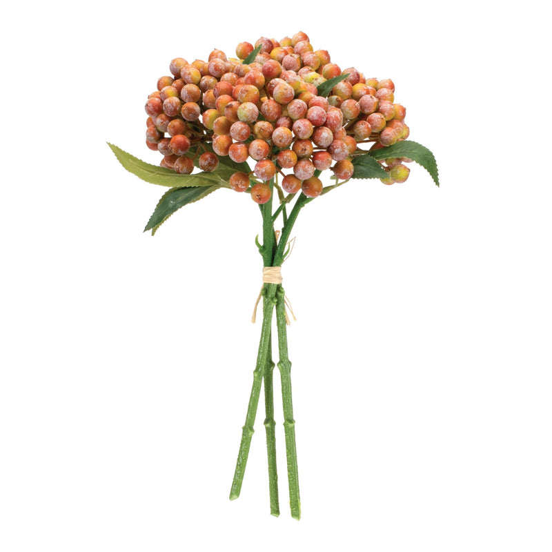 Melrose Orange Berry Bundle (Set of 2)
