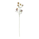 Melrose Thistle Foliage Spray (Set of 6)