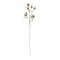 Melrose Thistle Foliage Spray (Set of 6)