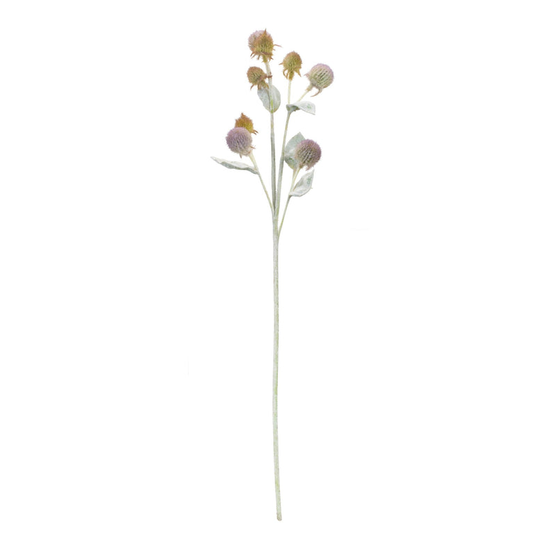 Melrose Thistle Foliage Spray (Set of 6)