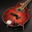 LR Baggs Radius-M Mandolin Pickup – External Jack Mount, Passive Sensor