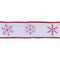 Melrose Holiday Snowflake Ribbon (Set of 2)