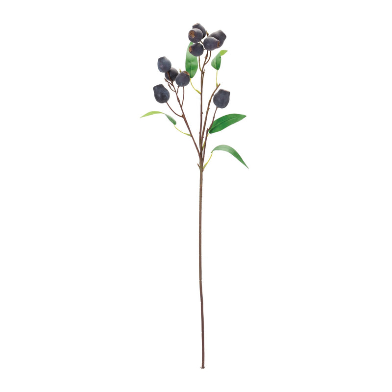 Melrose Plum Pod Spray (Set of 6)