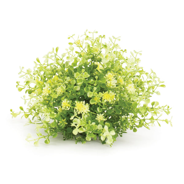 Melrose Mini Leaf Foliage Half Orb (Set of 2)